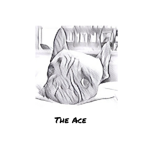 The Ace