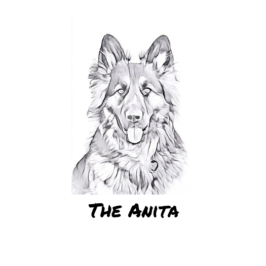 The Anita