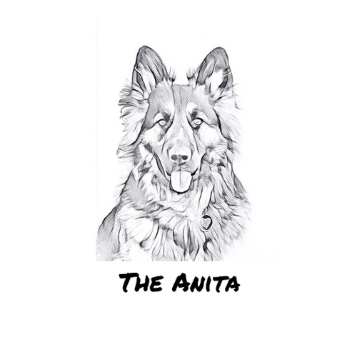 The Anita