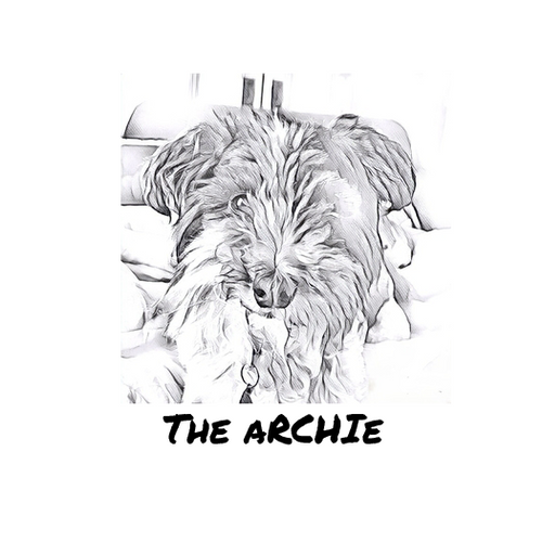 The Archie