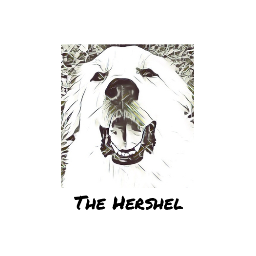 The Hershel