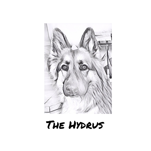 The Hydrus