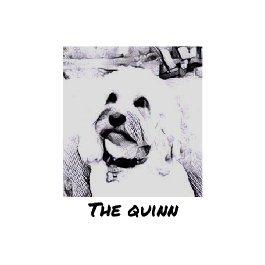 The Quinn
