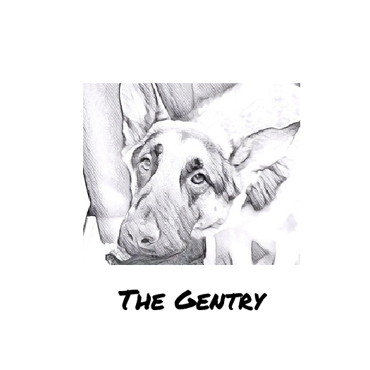 The Gentry