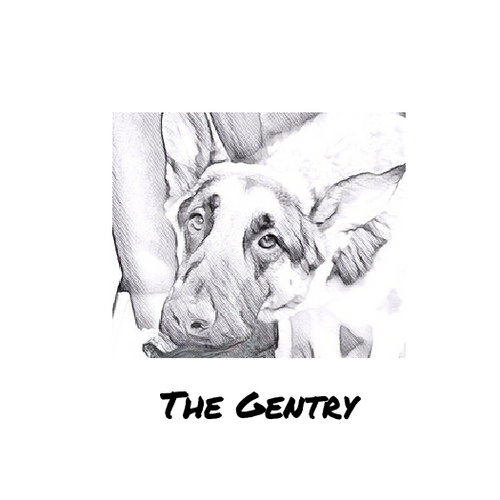 The Gentry