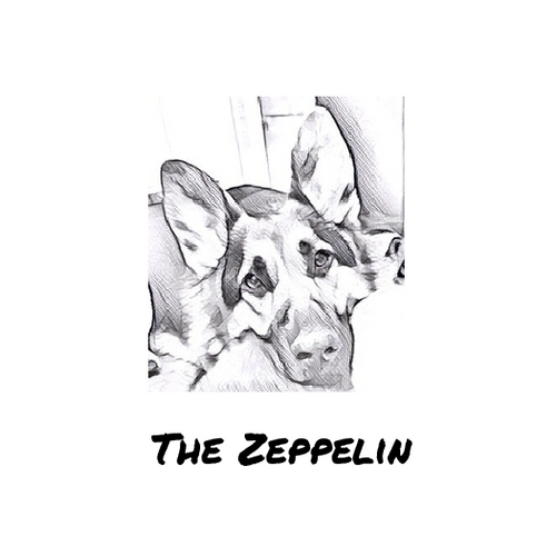 The Zeppelin