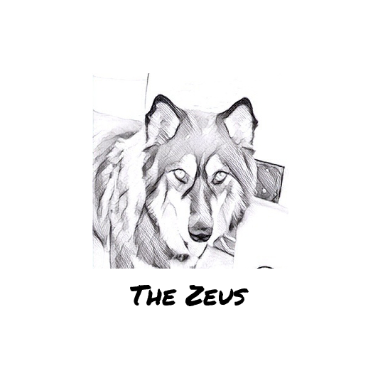 The Zeus