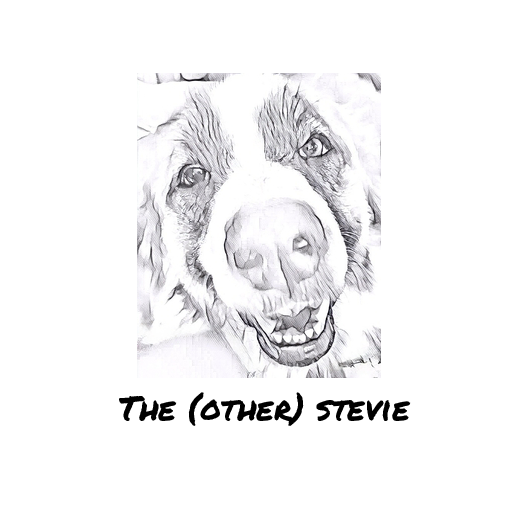 The (other) Stevie