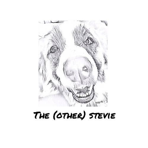 The (other) Stevie